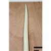 Image 2 : Reproduction NARWHAL Tusk with a Wood Stand