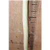Image 5 : Reproduction NARWHAL Tusk with a Wood Stand