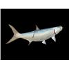 Image 1 : *New* MONSTER Sized Reproduction TARPON Fish Taxidermy Mount