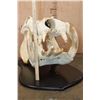 Image 4 : *Real Ivory Tusk* XL HIPPOPOTAMUS Skull Mounted on a Wood Plaque