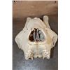 Image 5 : XL GIRAFFE (Upper) Skull with All its Teeth