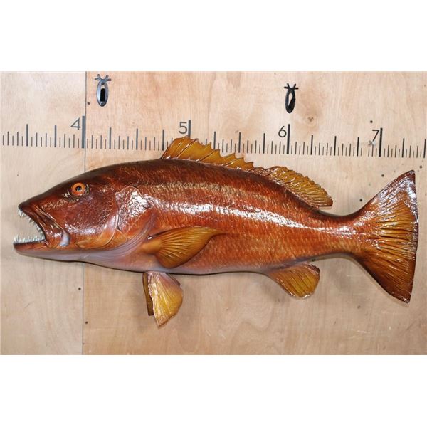 Big Reproduction CUBERA SNAPPER Fish Mount