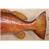 Image 5 : Big Reproduction CUBERA SNAPPER Fish Mount