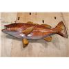 Image 6 : Big Reproduction CUBERA SNAPPER Fish Mount