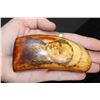 Image 9 : Antique 1840's Era "Martin Van Buren" Scrimshawed WHALE TOOTH