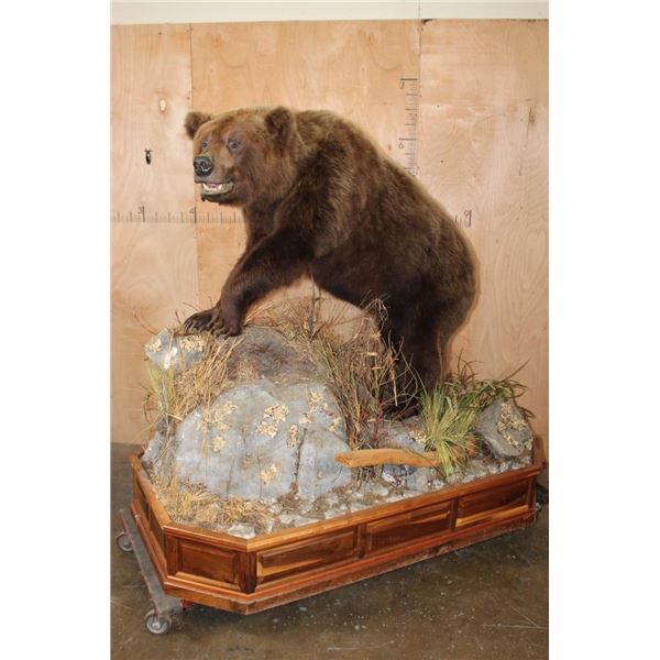 Life-sized BROWN BEAR or GRIZZLY BEAR on a Decorative Wood Base