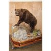Image 1 : Life-sized BROWN BEAR or GRIZZLY BEAR on a Decorative Wood Base