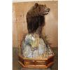 Image 4 : Life-sized BROWN BEAR or GRIZZLY BEAR on a Decorative Wood Base