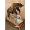 Image 5 : Life-sized BROWN BEAR or GRIZZLY BEAR on a Decorative Wood Base
