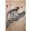 Image 1 : Life-sized VERVET MONKEY on a Lightweight Log Wall Base