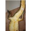 Image 12 : XL "Swimming" CROCODILE on a Decorative Base