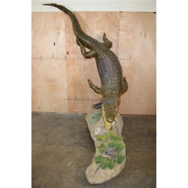 XL "Swimming" CROCODILE on a Decorative Base