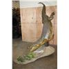 Image 2 : XL "Swimming" CROCODILE on a Decorative Base