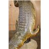 Image 9 : XL "Swimming" CROCODILE on a Decorative Base