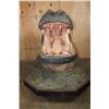 Image 4 : Massive *Real Skin* HIPPOPATOMUS with Reproduction Teeth on a Wood Base with Wheels