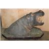 Image 6 : Massive *Real Skin* HIPPOPATOMUS with Reproduction Teeth on a Wood Base with Wheels