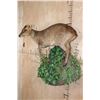 Image 3 : Life-sized REEVE'S MUNTJAC on a Decorative Wall Base