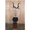 Image 11 : MOUNTAIN NYALA Pedestal Mount