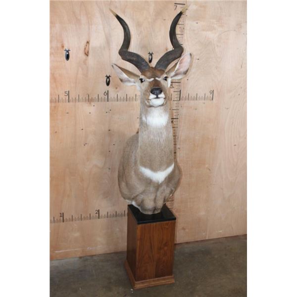 MOUNTAIN NYALA Pedestal Mount