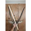 Image 5 : XXL WATERBUCK Shoulder Mount