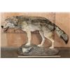 Image 2 : Life-sized WOLF on a Decorative Rock Base