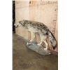 Image 3 : Life-sized WOLF on a Decorative Rock Base