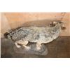 Image 7 : Life-sized WOLF on a Decorative Rock Base