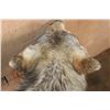 Image 8 : Life-sized WOLF on a Decorative Rock Base