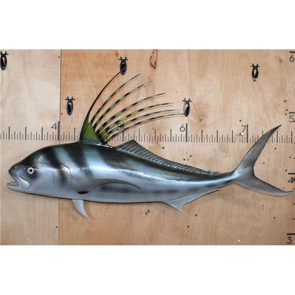 Big Reproduction ROOSTERFISH Mount
