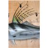 Image 4 : Big Reproduction ROOSTERFISH Mount
