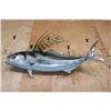 Image 6 : Big Reproduction ROOSTERFISH Mount