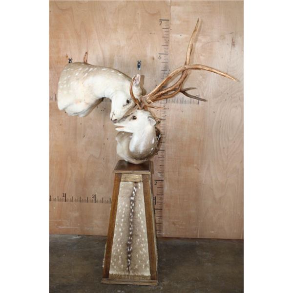 2 "Interlocked" AXIS DEER on a Pedestal Base with AXIS DEER Hide Panels