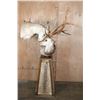 Image 1 : 2 "Interlocked" AXIS DEER on a Pedestal Base with AXIS DEER Hide Panels