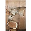 Image 7 : 2 "Interlocked" AXIS DEER on a Pedestal Base with AXIS DEER Hide Panels