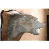 Image 7 : BABOON Shoulder Mount on a Wood Plaque