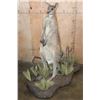 Image 1 : Life-sized KANGAROO on a Decorative Base with Wheels