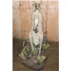 Image 3 : Life-sized KANGAROO on a Decorative Base with Wheels