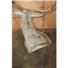 Image 8 : Massive XXL 10-Point MULE DEER Wall Pedestal
