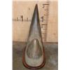 Image 5 : Set of Reproduction RHINOCEROS Horns on a Walnut Wood Base
