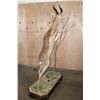 Image 10 : XXL Life-sized GERENUK on a Decorative Base