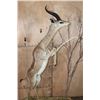 Image 2 : XXL Life-sized GERENUK on a Decorative Base