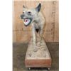 Image 3 : Life-sized HYENA on a Wood Base with Wheels