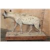 Image 5 : Life-sized HYENA on a Wood Base with Wheels