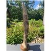 Image 5 : Scrimshawed GIRAFFE Bone Carving
