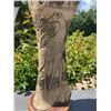 Image 8 : Scrimshawed GIRAFFE Bone Carving