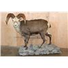 Image 1 : XL Life-sized STONE SHEEP on a Decorative Rocky Base with Wheels