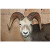 Image 3 : XL Life-sized STONE SHEEP on a Decorative Rocky Base with Wheels