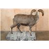Image 5 : XL Life-sized STONE SHEEP on a Decorative Rocky Base with Wheels