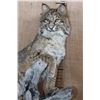 Image 5 : Life-sized BOBCAT on a Log Base