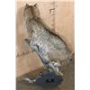 Image 7 : Life-sized BOBCAT on a Log Base